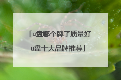 u盘哪个牌子质量好 u盘十大品牌推荐