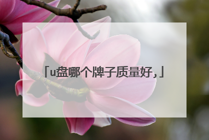 u盘哪个牌子质量好,