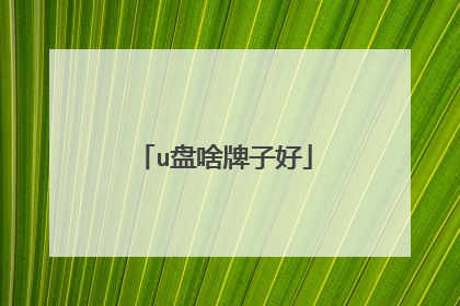 u盘啥牌子好