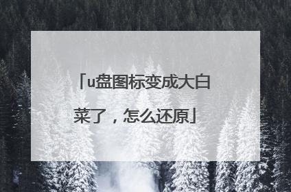 u盘图标变成大白菜了,怎么还原