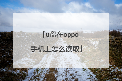 u盘在oppo手机上怎么读取