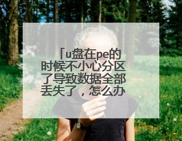 u盘在pe的时候不小心分区了导致数据全部丢失了,怎么办?求救!!