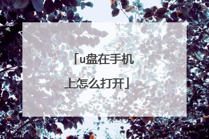 u盘在手机上怎么打开
