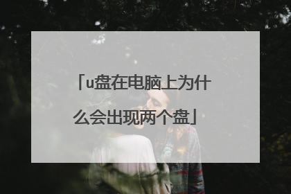 u盘在电脑上为什么会出现两个盘