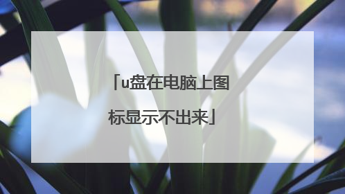 u盘在电脑上图标显示不出来