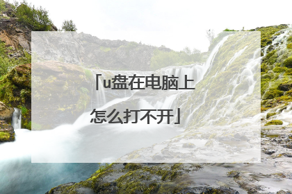 u盘在电脑上怎么打不开