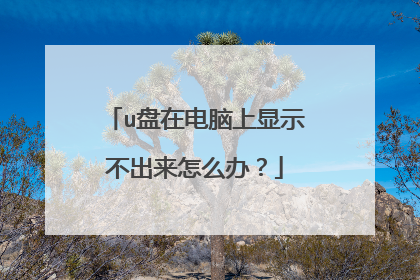 u盘在电脑上显示不出来怎么办?