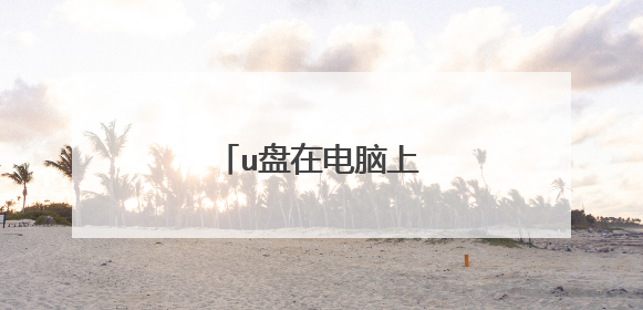 u盘在电脑上显示两个盘符