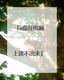 u盘在电脑上读不出来