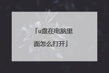 u盘在电脑里面怎么打开