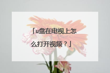 u盘在电视上怎么打开视频?