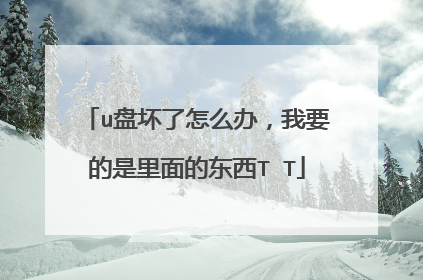 u盘坏了怎么办,我要的是里面的东西T T