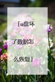 u盘坏了数据怎么恢复
