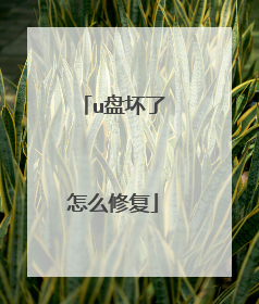 u盘坏了怎么修复