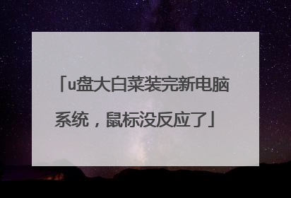 u盘大白菜装完新电脑系统,鼠标没反应了