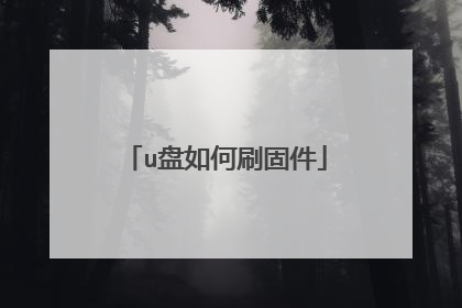 u盘如何刷固件