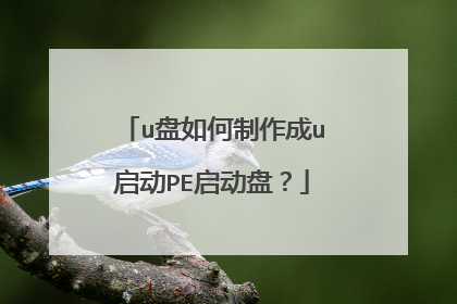 u盘如何制作成u启动PE启动盘?