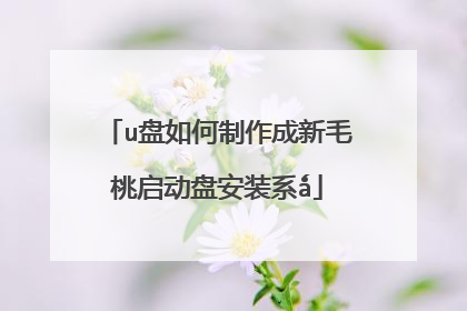 u盘如何制作成新毛桃启动盘安装系ǻ