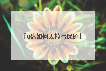 u盘如何去掉写保护