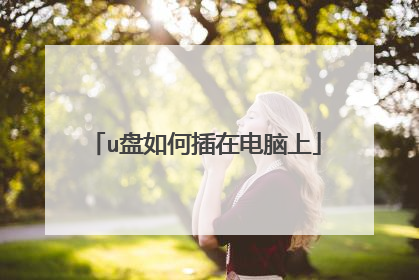 u盘如何插在电脑上