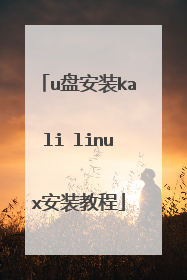 u盘安装kali linux安装教程