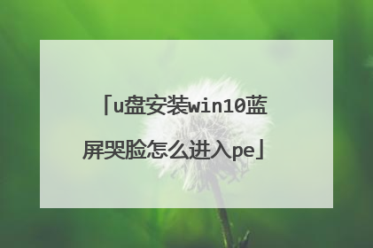 u盘安装win10蓝屏哭脸怎么进入pe