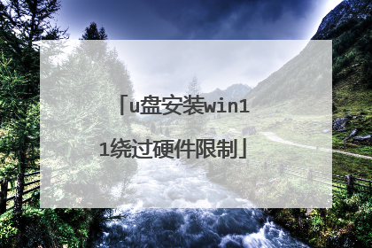 u盘安装win11绕过硬件限制