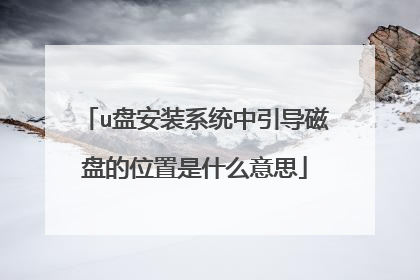 u盘安装系统中引导磁盘的位置是什么意思