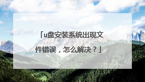 u盘安装系统出现文件错误，怎么解决？