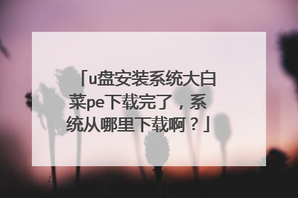 u盘安装系统大白菜pe下载完了，系统从哪里下载啊？