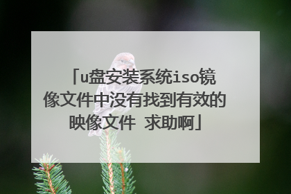 u盘安装系统iso镜像文件中没有找到有效的映像文件 求助啊