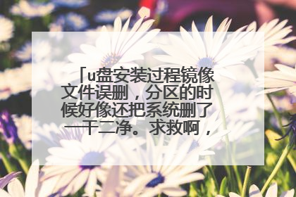 u盘安装过程镜像文件误删，分区的时候好像还把系统删了一干二净。求救啊，这怎么弄？
