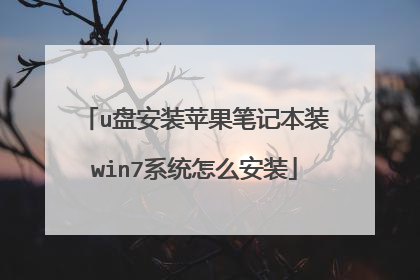 u盘安装苹果笔记本装win7系统怎么安装