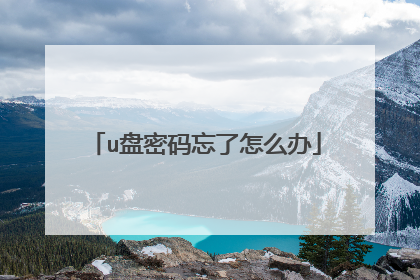 u盘密码忘了怎么办