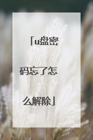 u盘密码忘了怎么解除