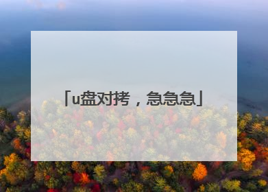 u盘对拷,急急急
