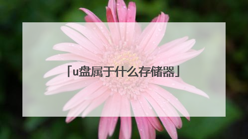 u盘属于什么存储器