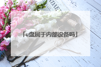 u盘属于内部设备吗