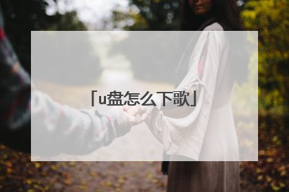 u盘怎么下歌