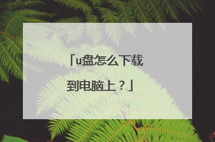 u盘怎么下载到电脑上?