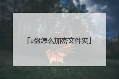 u盘怎么加密文件夹