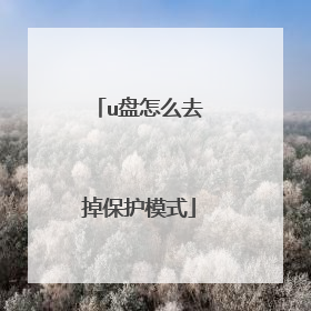 u盘怎么去掉保护模式