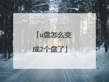 u盘怎么变成2个盘了