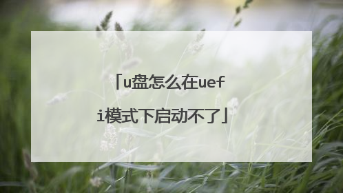 u盘怎么在uefi模式下启动不了