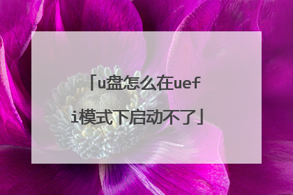 u盘怎么在uefi模式下启动不了
