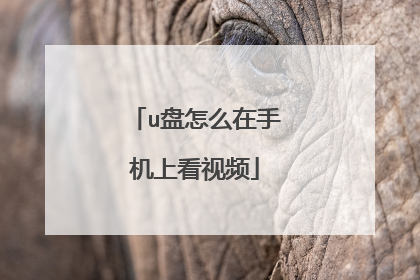 u盘怎么在手机上看视频