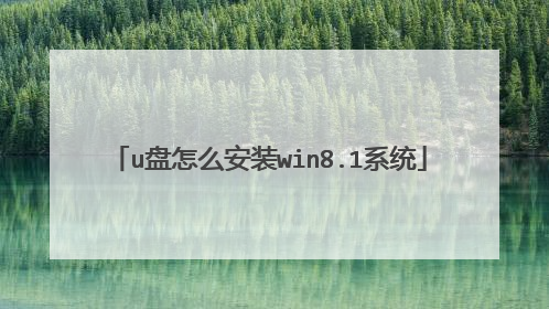 u盘怎么安装win8.1系统