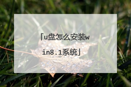 u盘怎么安装win8.1系统