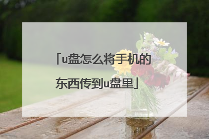 u盘怎么将手机的东西传到u盘里