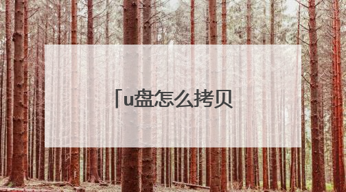 u盘怎么拷贝电脑上的东西
